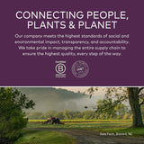 Gaia Herbs Black Elderberry Syrup Adult Daily - Immune Support Supplement - 3 Fl Oz (9-Day Supply)