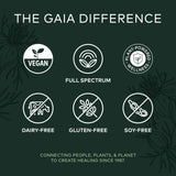 Gaia Herbs Black Seed Oil 60 Vcaps