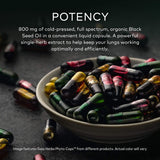 Gaia Herbs Black Seed Oil 60 Vcaps