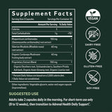 Gaia Herbs Jump Revive Start - Helps Sustain Healthy Energy and Stress Levels - with Cordyceps, Schisandra, Rhodiola, and Licorice - 60 Vegan Liquid Phyto-Capsules (30-Day Supply)