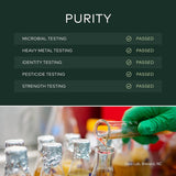 Gaia Herbs Mental Alertness - Brain Support Supplement to Help Maintain Focus & Memory* - with Eleuthero, Ginkgo Leaf, Gotu Kola, Rosemary & Oats - 60 Vegan Liquid Phyto-Capsules (15-Day Supply)