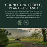 Gaia Herbs Plant Force Liquid Iron - 8.5 Fl Oz (25 Servings)