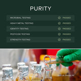 Gaia Herbs Plant Force Liquid Iron - 8.5 Fl Oz (25 Servings)