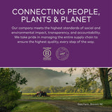 Gaia Kids Bronchial Wellness Syrup - Immune Support Supplement - Overall Throat & Lung Health Support - Certified Organic Formula with English Plantain, Grindelia & Honey - 3 Fl Oz (18 Servings)