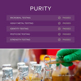 Gaia Kids Bronchial Wellness Syrup - Immune Support Supplement - Overall Throat & Lung Health Support - Certified Organic Formula with English Plantain, Grindelia & Honey - 3 Fl Oz (18 Servings)