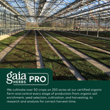 Gaia PRO Female Hormone Formula - 60 Vegan Liquid Phyto-Capsules (60 Servings)