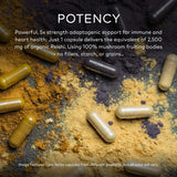 Gaia Reishi Mushroom 40 Vcaps