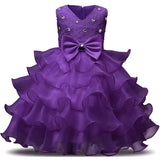 Girl Dress Kids Ruffles Lace Party Wedding Gown