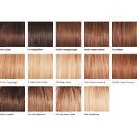 GLAMOUR AND MORE - Wig by Raquel Welch - 100% Human Hair