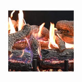 Grand Canyon Lava Front View Electronic Ignition Natural Gas Vented Burner (SAK18456)