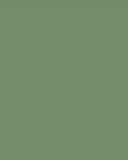 Green Bamboo Zipper Footie