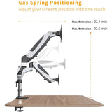 Halter Dual LCD Adjustable Monitor Stand