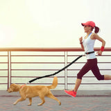 Hands Free Dogs Leash Waist Belt