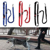Hands Free Running Bungee Dog Leash - Assorted Colors