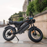 HappyRun G70 (G70 Pro) Long Distance Dual Battery Electric Fat Tire Cargo Bike (SAK81369)