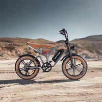 HappyRun Tank G60 Electric Off-Road Fat Tire Moped Bike (SAK48732)