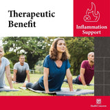 Health Concerns Channel Flow - Muscle Health Supplement - Blood Support - 60 Capsules