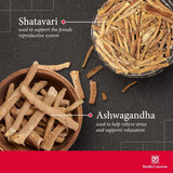 Health Concerns Fertile Garden - Menstrual Relief & Women's Health Supplement - 90 Capsules