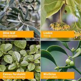 Herb Pharm Blood Pressure Support 4oz