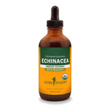 Herb Pharm Echinacea 4oz