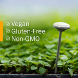 Herb Pharm Virattack 1oz