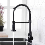 High Arc Spring Kitchen Sink Faucet