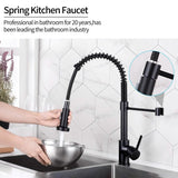 High Arc Spring Kitchen Sink Faucet