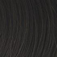 HIGH FASHION - Wig by Raquel Welch - 100% Human Hair