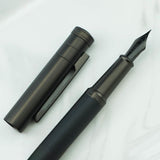 Hongdian Silver Birch Forest Fountain Pen