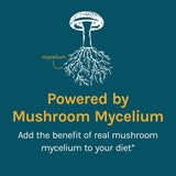 Host Defense Cordychi Extract 2oz