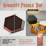 Water Humidity Tray for Houseplants, Includes Pebbles