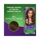 Wella Koleston Naturals Maxi Charming Brown 6/1 Hair Color