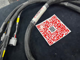 SPDZ1 F-Series and H-Series Wire Harness Made with OBD1 ECU Connectors Attatched