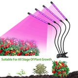 iMounTEK 80W 80 LEDs Plant Lights