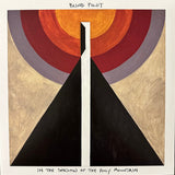 In the Shadow of the Holy Mountain [Vinyl]