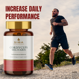 SIBA Cordyceps Mushroom Capsules – 1000mg Fruiting Body Extract