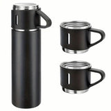 Insulated Stainless Steel Vacuum Flask Set