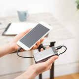 LAX Pocket Sized Dual USB 12,000mAh External Battery Backup Charger