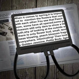LED Magnifying Glass with Stand - 5x Zoom, USB Rechargeable Reading Aid