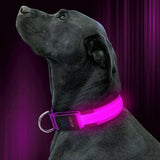 LED Pet Collar