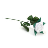 LED Rose Lights