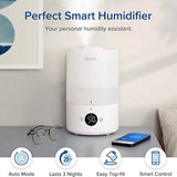 LEVOIT Dual200S Smart Cool Mist Humidifier