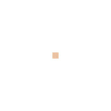 Giorgio Armani Luminous Silk Foundation Shade 06