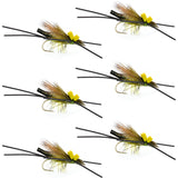 Long Tail Skwala Stone - Squalla Stonefly Dry Fly - 6 Flies Hook Size 10