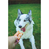 M-Pets Carnivore Bacon Flavored Spare Rib Dog Toy 14.5cm