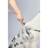 M-Pets Wild Jungle Orange Dog Leash Durable Polyester S-M 120cm