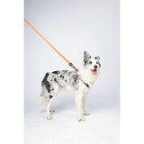 M-Pets Wild Jungle Orange Dog Leash Durable Polyester S-M 120cm