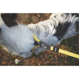 M-Pets Wild Safari Dog Leash Ergonomic Grip Yellow 120cm