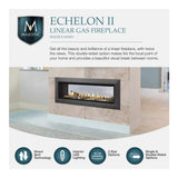 Majestic Echelon II 48-Inch See-Through Direct Vent Fireplace [ECHEL48STIN-C] (SAK69284)