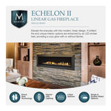 Majestic Echelon II 48-Inch See-Through Direct Vent Fireplace [ECHEL48STIN-C] (SAK69284)